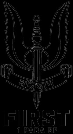 First 1 Para SF crest